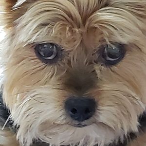 Meet your Posher, Katherine